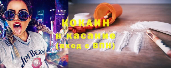 молекула духа Надым