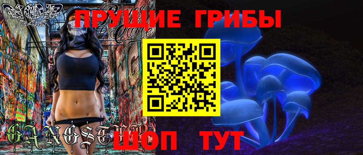 Галлюциногенные грибы мухоморы Долгопрудный