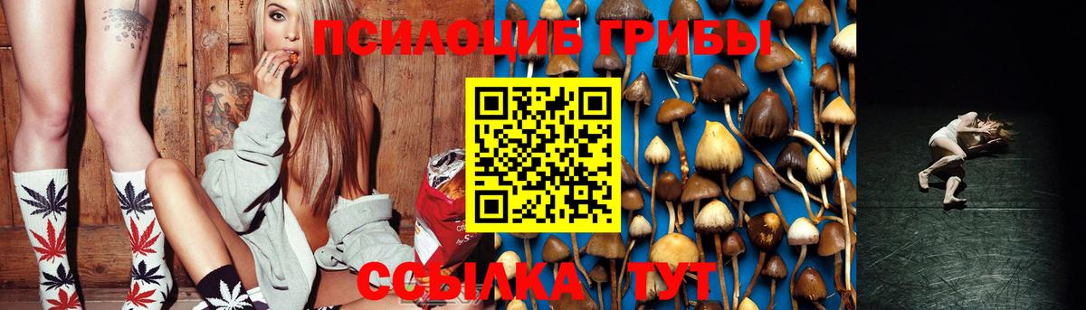Долгопрудный  Галлюциногенные грибы MAGIC MUSHROOMS  Вход с VPN  Псилоцибиновые грибы Magic Shrooms 